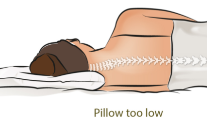 Are You Using The Right Size Pillow Buckwheat Hull Pillows